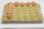 20 lbs Eiertray (30 Eier, 66–84 g) – Bild 5