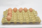 20 lbs Eiertray (30 Eier, 66–84 g) – Bild 7