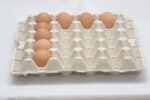 25 lbs (1) Eiertray (20 Eier, 81–90 g) – Bild 4