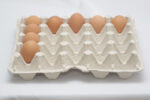 25 lbs (1) Eiertray (20 Eier, 81–90 g) – Bild 3